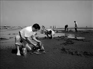 People kneel in wet sand on an ocean beach with bags, buckets, and shovels. One person has a pile of clams at his feet. This image is in black and white. 